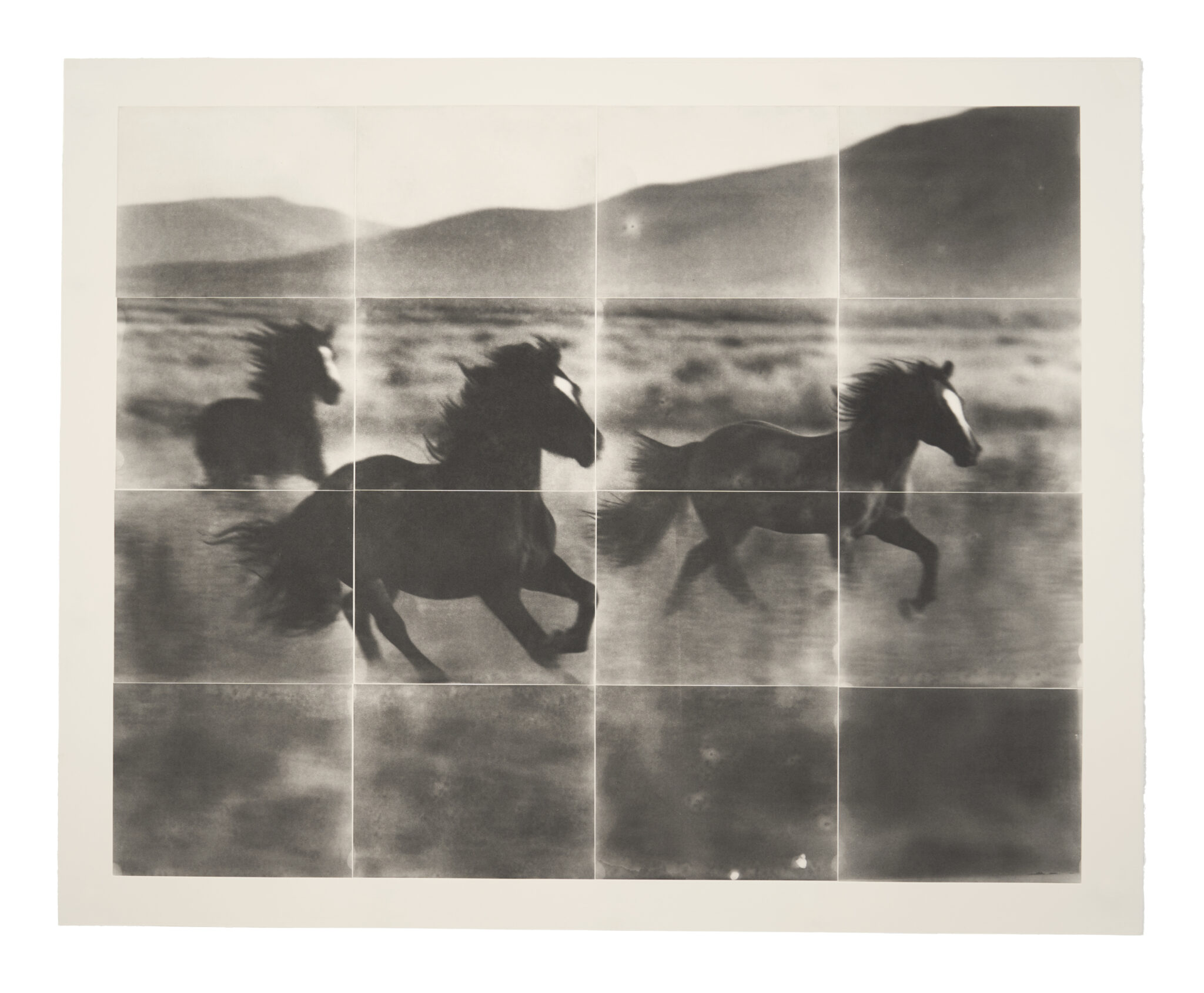 Horses I / Photopolymer intaglio/ unique edition of 8 + 1 AP / 2025.